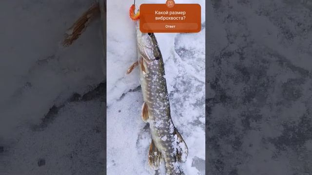 Первая щука в 2024 году 8 Марта смотреть онлайн