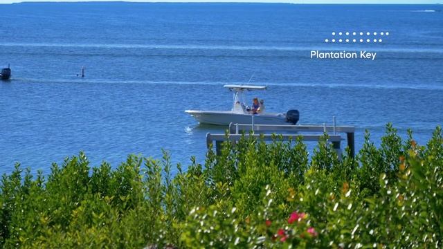 Botanical Bay House | 130 Gumbo Limbo Ln смотреть онлайн