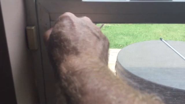 DIY: How to fix a foggy double-paned window смотреть онлайн