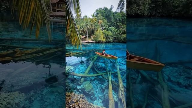 Озеро Пайсупок на островах Банггай, Индонезия #short | #шариклайф смотреть онлайн