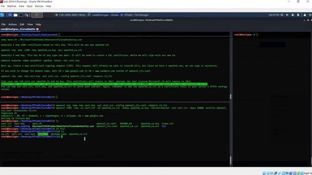 MicrosoftCrypAPI vulnerability step by step , CVE-2020-0601- Windows CryptoAPI (Crypt32.dll) смотреть онлайн