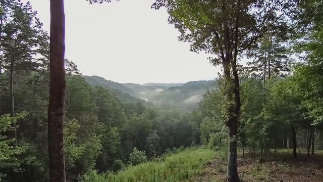 sony hdr az1 time lapse edit смотреть онлайн