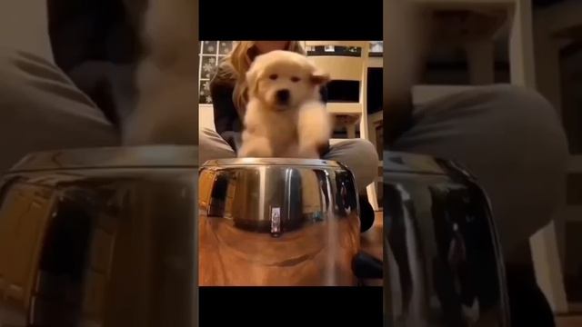 Как же больно