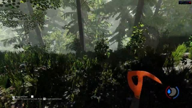 The Forest (new engine) R9 280X AMD FX 8350 Max Settings смотреть онлайн