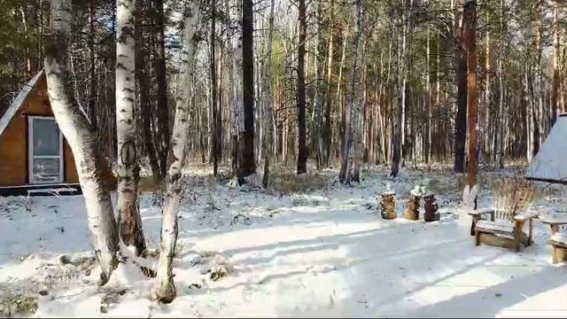 VID-20241016-WA0000 смотреть онлайн
