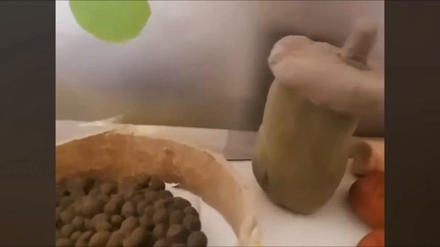 Утро котика Басика☀️❤️ смотреть онлайн