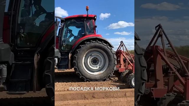 DokaGene посадка моркови проведена смотреть онлайн