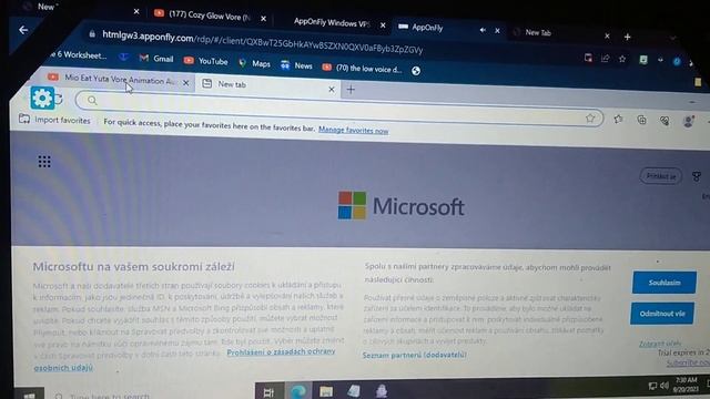 Running VineMEMZ on Windows 10 In AppOnFly Part 1 смотреть онлайн