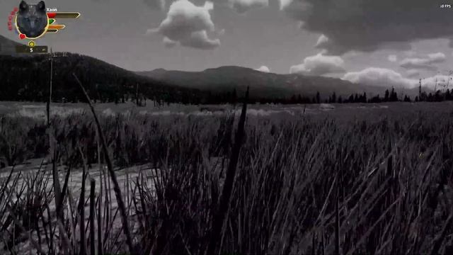 An Innocent Spirit, and a Courageous Coyote| WolfQuest:AE| Hallowed Spirits (22) смотреть онлайн