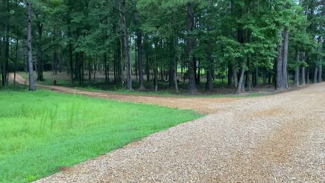 The REAL Bush "HOG" Cleaning LAND With ANIMALS - The Mac's смотреть онлайн