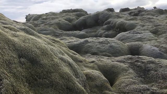 Piimasupp смотреть онлайн