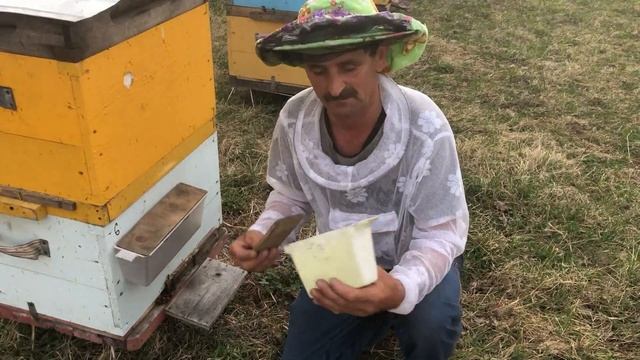 500+ Пополняем корма + стимуляция маток через уличные кормушки смотреть онлайн