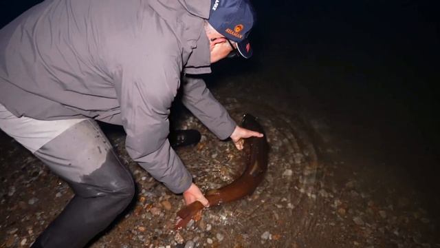 Тува Белин Clip V1