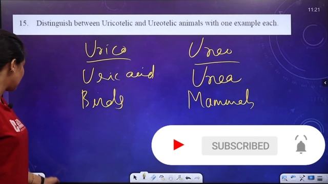 🔥💯Biology Model Exam Answer Key💯🔥| Zoology | Fully Solved | Plus One Model Exam 2021 | Focus Area смотреть онлайн