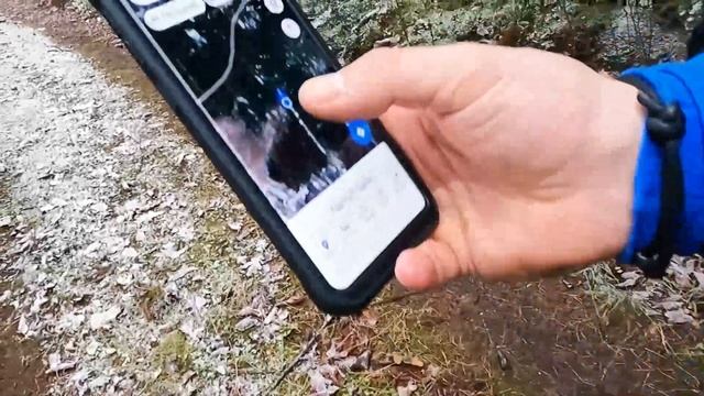 ŽIEMOS ŽYGIS | Naujojo Bebro kelio parko gyventojo krikštynos смотреть онлайн