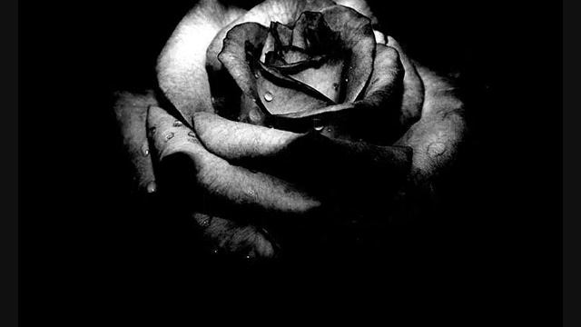 HammerFall - The Fallen One (with Lyrics)