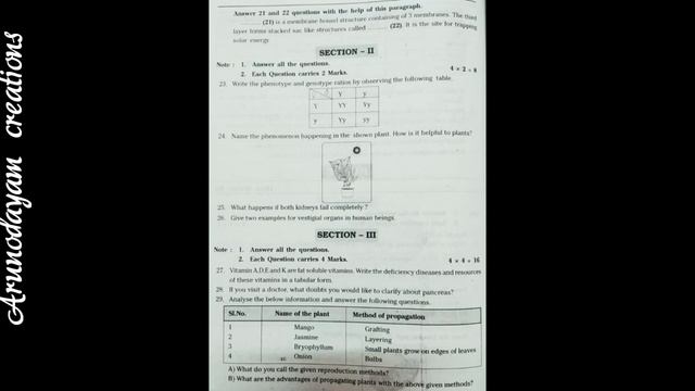 Class 10 biology new model paper( 54 marks)July 2020 смотреть онлайн