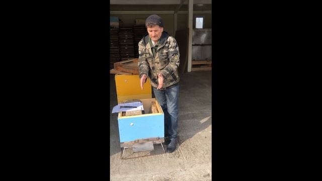 500+ Сверхранняя выставка пчёл. Часть 2. смотреть онлайн