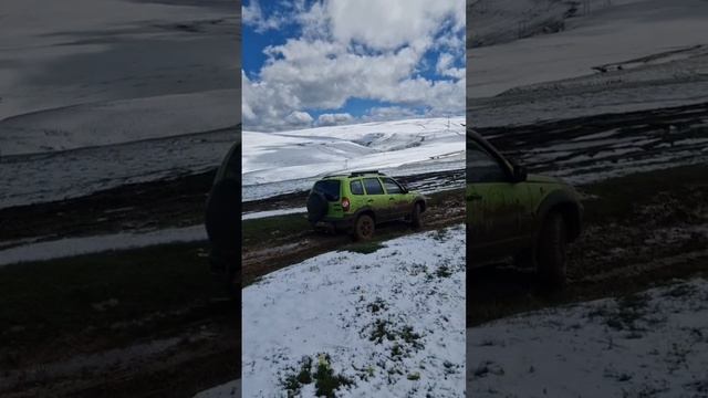 Шнива смотреть онлайн