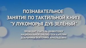 «У Лукоморья дуб зеленый...» : познавательное занятие по тактильной книге