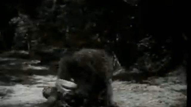 Tarzan the Tiger 1929 Episode 11 The Jaws of Death смотреть онлайн