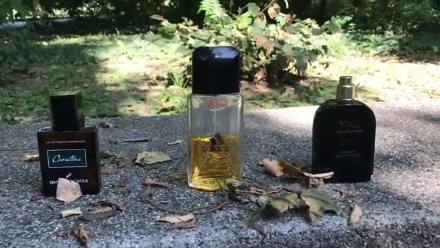Scent Land fragrance choices for Autumn 2020 смотреть онлайн