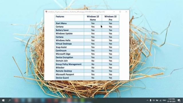 Windows 10 Home vs Pro Edition 💻⚙️🐞 смотреть онлайн