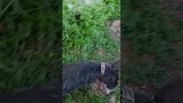 Свежий кусок Чингиза смотреть онлайн