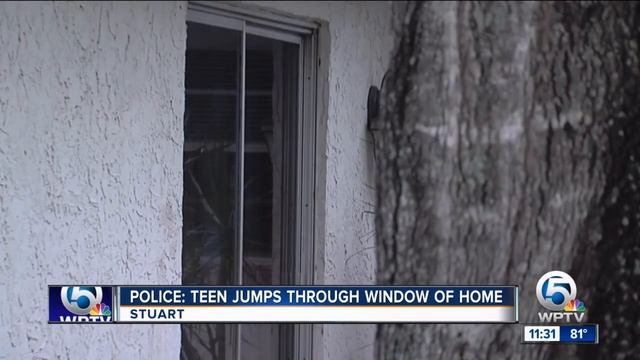 Cops: Teen on drugs hurls self through window of Martin County home смотреть онлайн