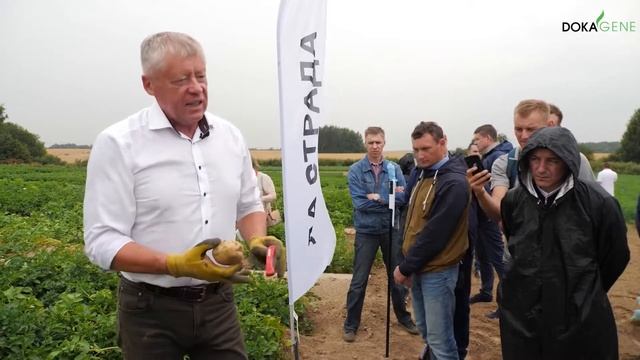 DokaGene О сорте КИНГСМЕН смотреть онлайн