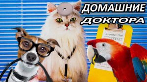 🔥 Домашние психотерапевты.