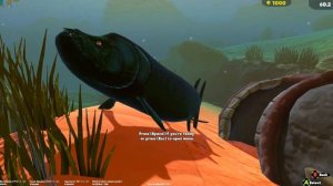 Feed And Grow Fish Cheats