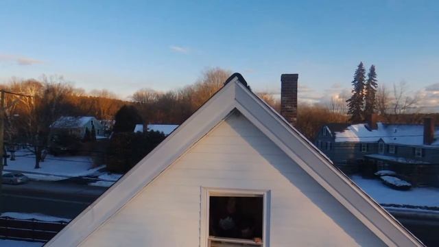 Drone attic window flyout смотреть онлайн