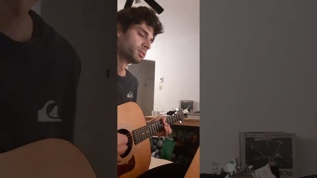 Can You Please Crawl Out Your Window - Jimi Hendrix acoustic guitar cover by Karl Philippe Fournier смотреть онлайн