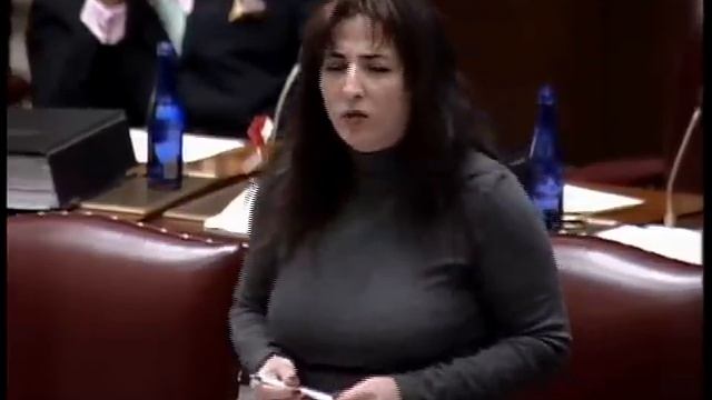 NYS Senator Diane Savino speaks on the Marriage Equality bill смотреть онлайн