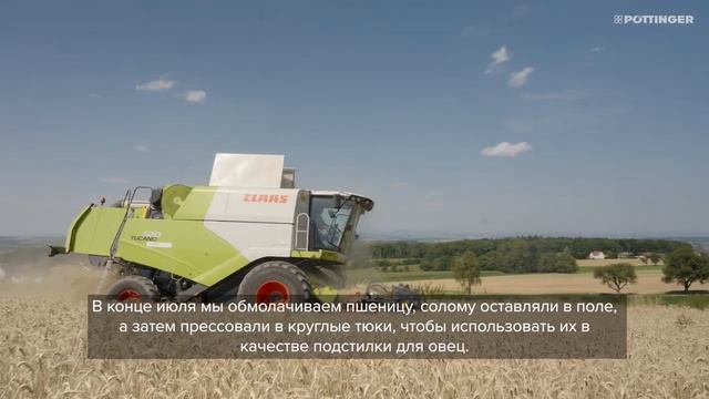 Всемирный_день_хлеба_2024_Австрия_ смотреть онлайн