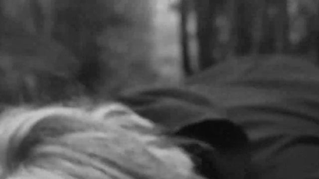 ONE LAST TIME, Rein Alexander OFFICIAL MUSIC VIDEO смотреть онлайн