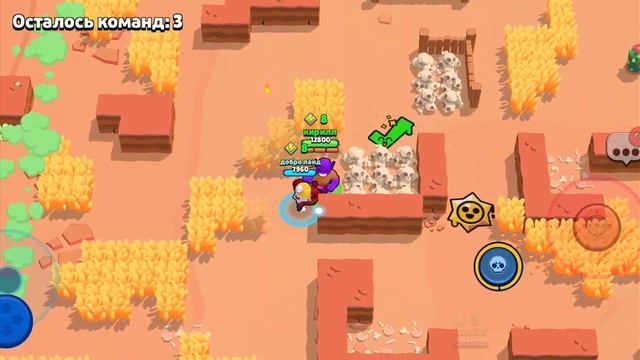 браво Старс открыли скин и юойтса