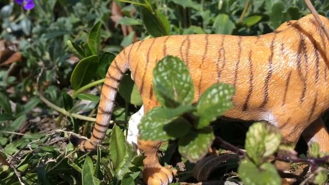 Siberian Tiger VS Pantanal Jaguar смотреть онлайн