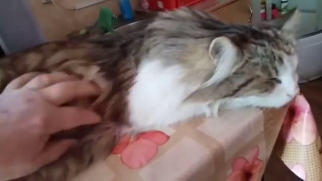 Вопрос-ответ. О продажи дома. Где нам лучше жить . И снова кофточка . смотреть онлайн