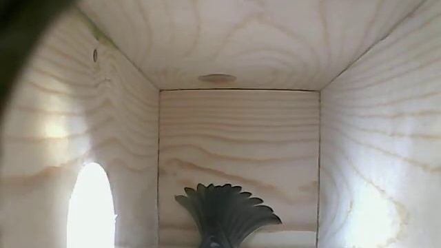 Foscam 8910 nestbox смотреть онлайн