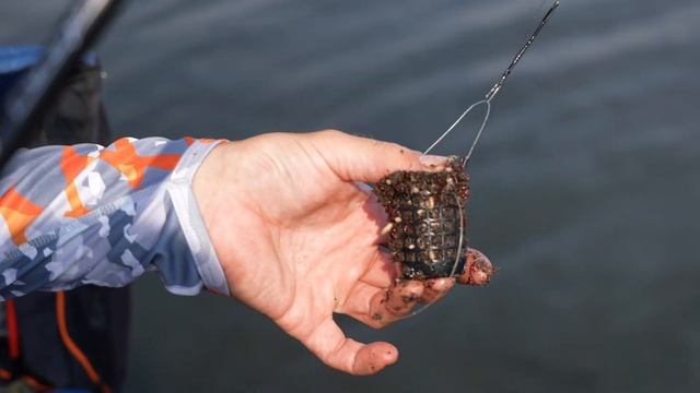 Ловля на фидер в Братеево. Валерьянка VS Корвалол