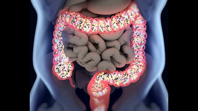 Нездоровые симптомы от термически обработанной пищи смотреть онлайн