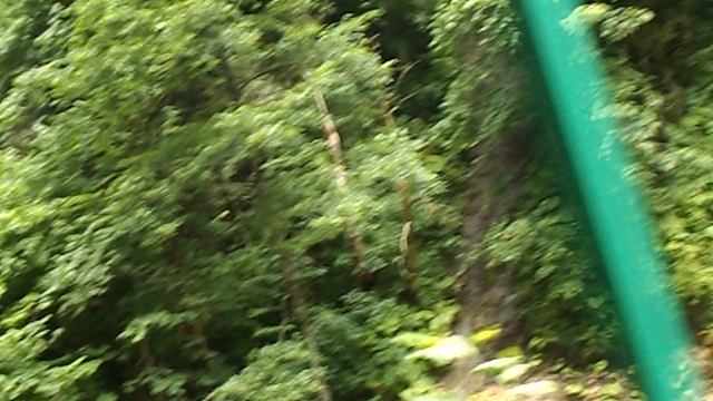 DSCN5755Лотосовый рай  Гуамское ущелье июль 2022