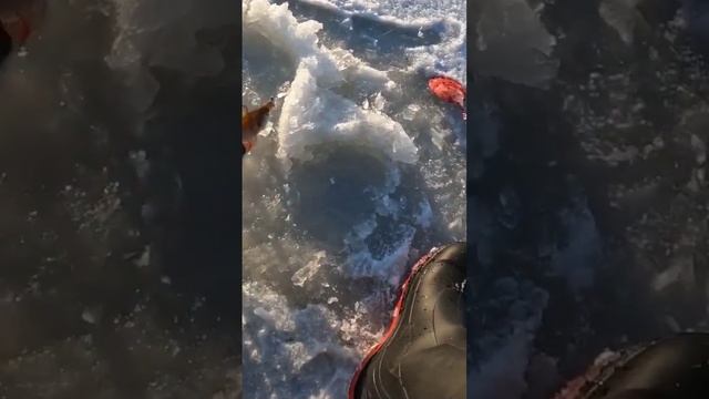 Окунь на мормышку влетает в лунку. смотреть онлайн