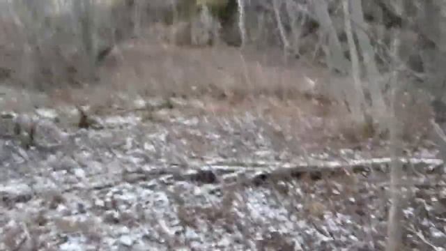 Карелия, север Ладоги смотреть онлайн