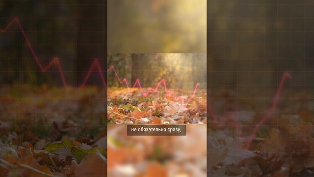 Цикличность фондового рынка. #shorts #инвестиции смотреть онлайн