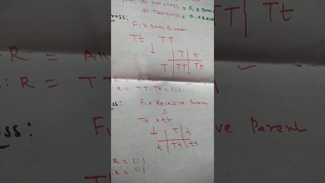 Outcross, back cross and test cross( classical gentics) смотреть онлайн