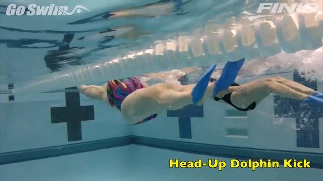 Butterfly - Head-Up Dolphin Kick смотреть онлайн