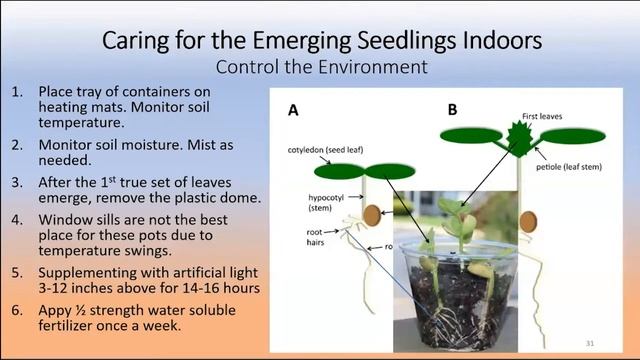 Starting Vegetables from Seeds with OSU Master Gardeners смотреть онлайн